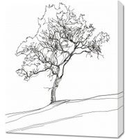 Obraz 60x70cm Drzewo w Zarysie