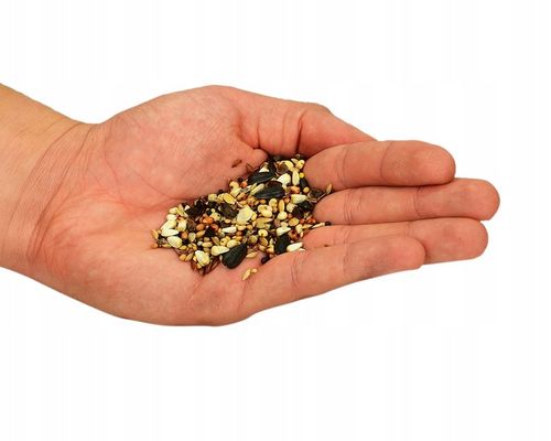 DUŻY KARMNIK KARMIDŁO NA KARMĘ POKARM DLA PTAKÓW TRIXIE + ZIARNO 1KG na Arena.pl