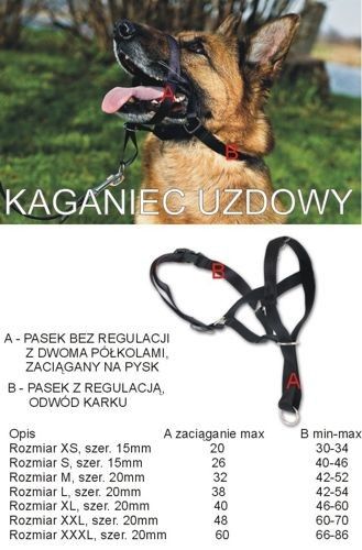 DINGO KAGANIEC UZDOWY CZARNY S na Arena.pl