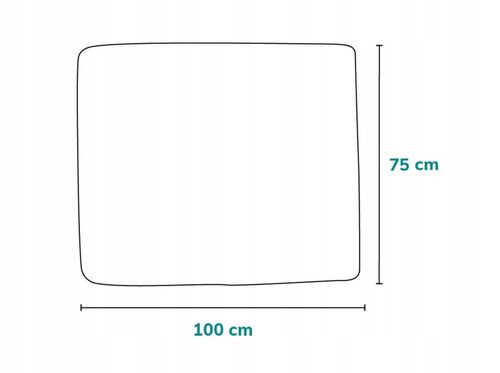Kocyk bambusowy otulacz dla dzieci 75x100cm PIERWSZY PREZENT Lionelo Bamboo na Arena.pl
