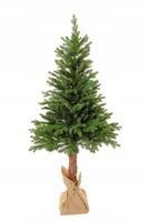 Choinka Sztuczna Na Pniu Franklin Pe Jak Prawdziwa 180cm