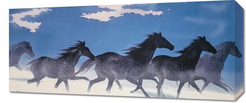 Obraz 70x30cm Wolność i Swoboda zdjęcie 1