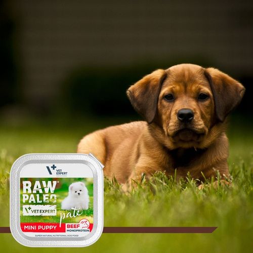 Mokra karma dla szczeniąt małych ras wołowina Raw Paleo Pate 12 x 150g na Arena.pl