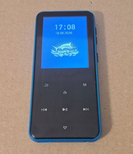 Odtwarzacz MP3 AGPtek M3PL 64 GB na Arena.pl