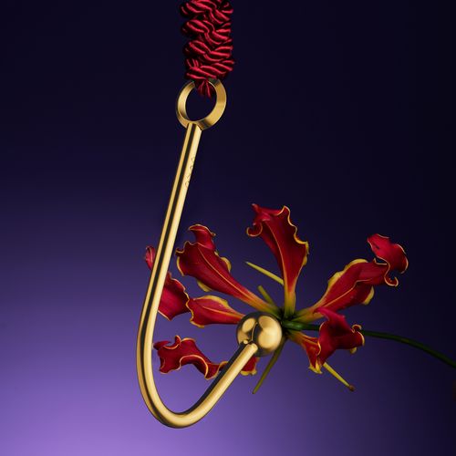 upko vaginal/anal hook na Arena.pl