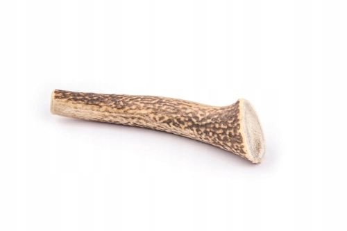 4DOGS Gryzak z poroża - poroże jelenia L hard na Arena.pl