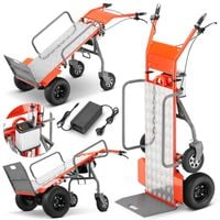 Wózek transportowy elektryczny akumulatorowy 2w1 młynarka Bäumr-AG