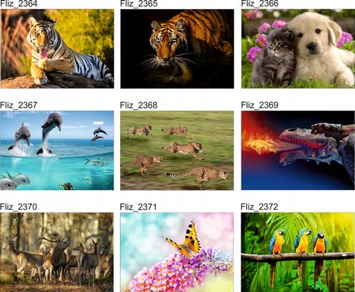 FOTOTAPETA NATURA KOŃ INDIANKA SZAŁASY 200x130 na Arena.pl