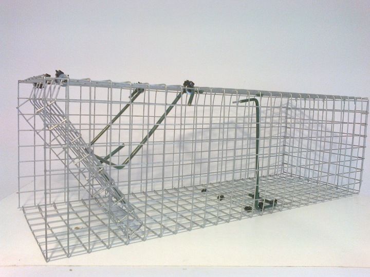 ŻYWOŁAPKA PUŁAPKA NA SZCZURY i inne 50/16/16 cm zdjęcie 1