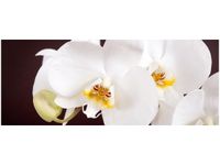 100X40CM PIĘKNY STORCZYK OBRAZ DREWNO