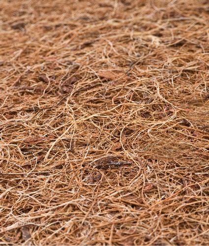 ND33_SILLO-01411 MATERAC GRYKA-PIANKA-KOKOS LUXE 120×60 (11CM) ALOE VERA na Arena.pl