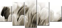 70CM 150CM OBRAZ 5 ELEM TULIPANY ŚCIENNY