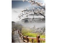 product-compare-58649034