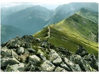 50X70CM GŁÓWNA GRAŃ TATR STOPAMI OBRAZ POKOJU DREWNINE