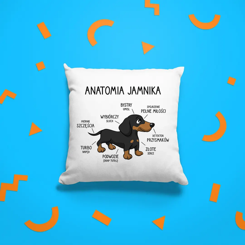 Anatomia jamnika - poduszka na prezent na Arena.pl