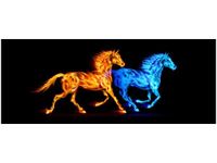 OBRAZ KONIE DWA ŻYWIOŁY