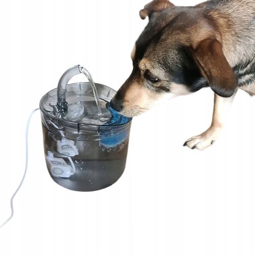 POIDEŁKO DOZOWNIK AUTOMAT FONTANNA DLA KOTA PSA na Arena.pl