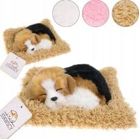 REALISTYCZNY ŚPIĄCY PIESEK NA PODUSZCE JAK ŻYWY figurka DŹWIĘK BEAGLE