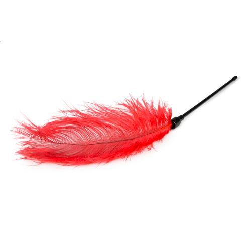 Pejcz-Red Feather Tickler zdjęcie 3