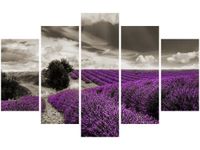 70 100CM OBRAZ 5 ELEM LAWENDOWY WIDOK DRUK PŁÓTNO
