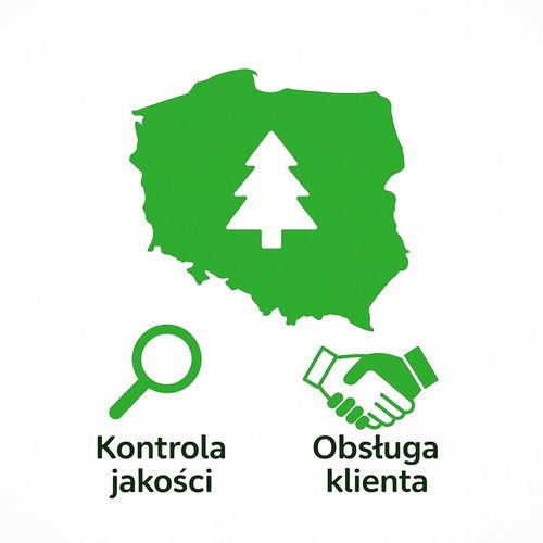 Choinki Marzeń CHOINKA SLIM ŚWIERK TATRZAŃSKI *PREMIUM* 100cm + GRATIS na Arena.pl