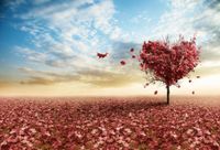 FOTOTAPETA KRAJOBRAZ JESIEŃ SERCE DRZEWO POLANA