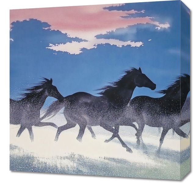 Obraz 50x50cm Wolność i Swoboda zdjęcie 1