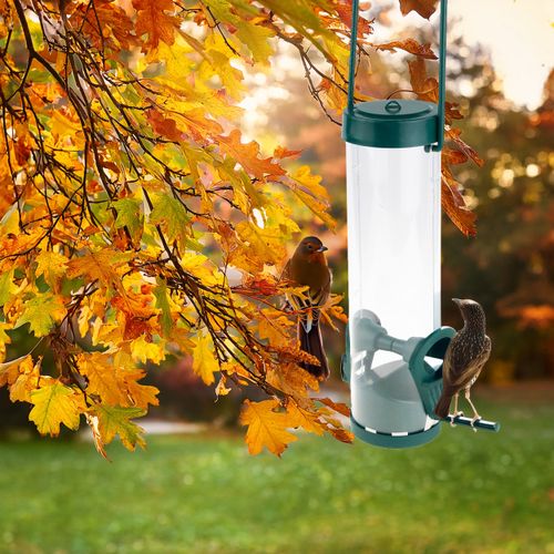 KARMNIK DLA PTAKÓW PRZEZROCZYSTY Z PODNÓŻKIEM na karmę Z DASZKIEM ZIARNA na Arena.pl