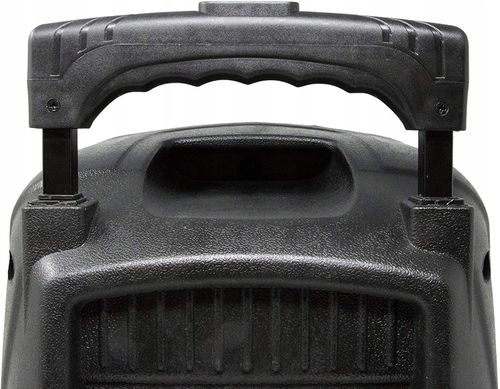 Głośnik przenośny Dynasonic Dynapro 8 czarny na Arena.pl