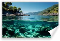 Fototapeta PREMIUM STRUKTURA ZMYWALANA NA WYMIAR rafa koralowa w morzu