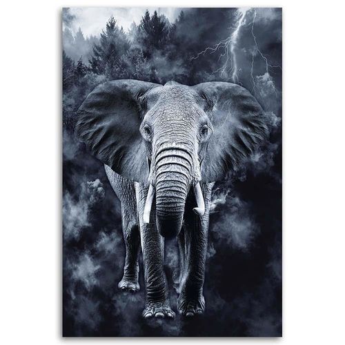 Obraz na płótnie – Canvas, Słoń na tle natury 50x70 na Arena.pl