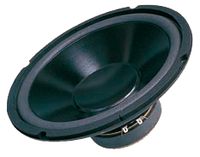 G1001-8 Gonik 10cali DBS-G1001 8 Ohm