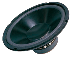 G1001-8 Gonik 10cali DBS-G1001 8 Ohm zdjęcie 1