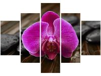 70 100CM OBRAZ 5 ELEM STORCZYK ANETY DRUK PŁÓTNO