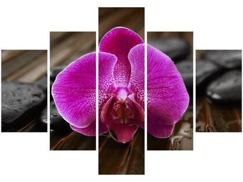 70 100CM OBRAZ 5 ELEM STORCZYK ANETY DRUK PŁÓTNO na Arena.pl