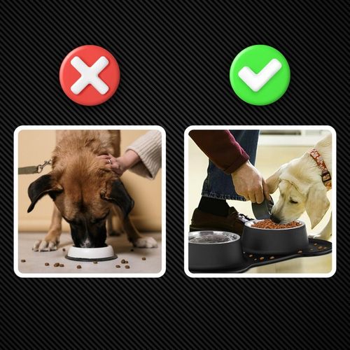 PODWÓJNA MISKA DLA PSA KOTA ANTYPOŚLIZGOWA + PODKŁADKA POD MISKI 2x450 ml na Arena.pl