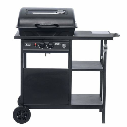 Grill Gazowy Activa Mastercook 2-palnikowy 5,4 kW - 11999 na Arena.pl