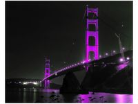 40X50CM VIOLET GOLDEN BRIDGE TANEL TEEMUSK OBRAZ