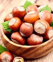 Orzech laskowy OLBRZYM Z HALLE leszczyna - ODPORNY