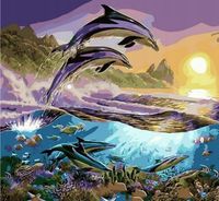 Norimpex Malowanie Po Numerach Delfiny Skaczące