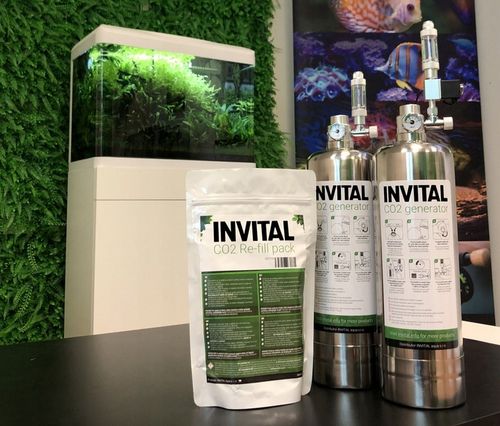 INVITAL Generator CO2 bez nocnego wył. z butlą 2l na Arena.pl