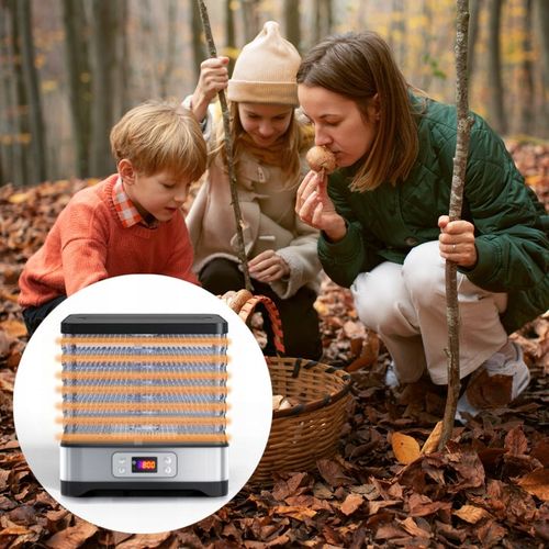 Suszarka do grzybów owoców warzyw DUŻA MOCNA 500W TERMOOBIEG REGULACJA na Arena.pl