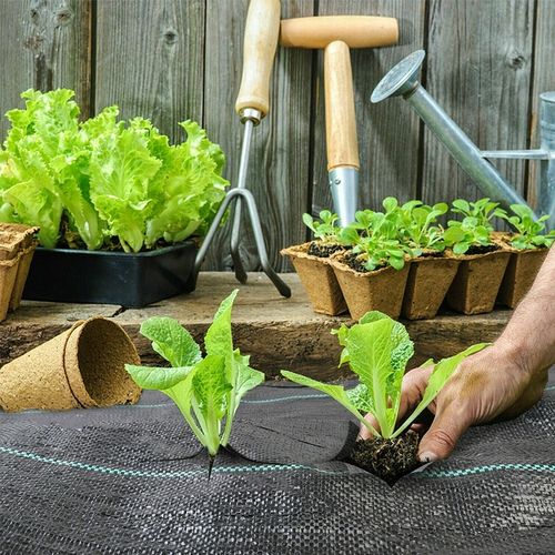 GRUBA AGROWŁÓKNINA 70g NA CHWASTY 1,6x100 AGROTKANINA na Arena.pl