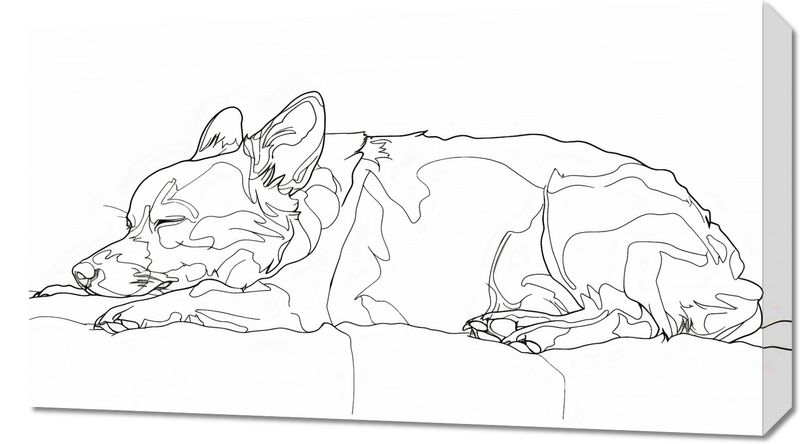 Obraz 70x40cm Śpiący Psiak zdjęcie 1