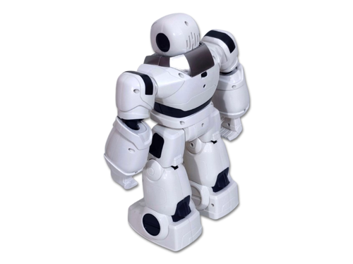 Interaktywny zdalnie sterowany Robot na Arena.pl