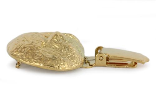 Bichon Frise - klips - 2600 na Arena.pl