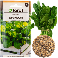 SZPINAK MATADOR NASIONA WARZYW SZPINAKU CIEMNOZIELONY WIOSNA JESIEŃ 5G