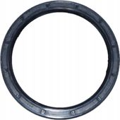 Uszczelniacz 100x125x12 WAS