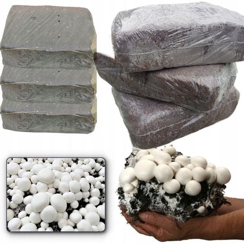 GRZYBNIA PIECZARKI BIAŁEJ BALOT PODŁOŻE 3FAZA 20KG Z BADANIAMI + na Arena.pl