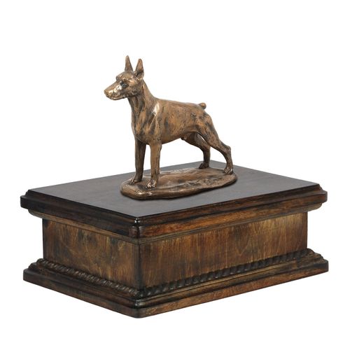 Doberman cropped- eksluzywna urna na Arena.pl